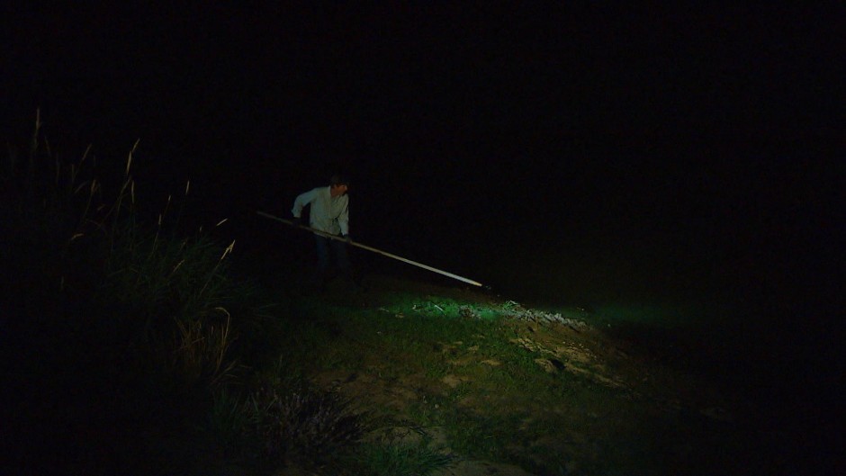 Tom Kaye hunts for invasive frogs in a pond near Corvallis, Oregon. Photo by Nick Fisher/OPB