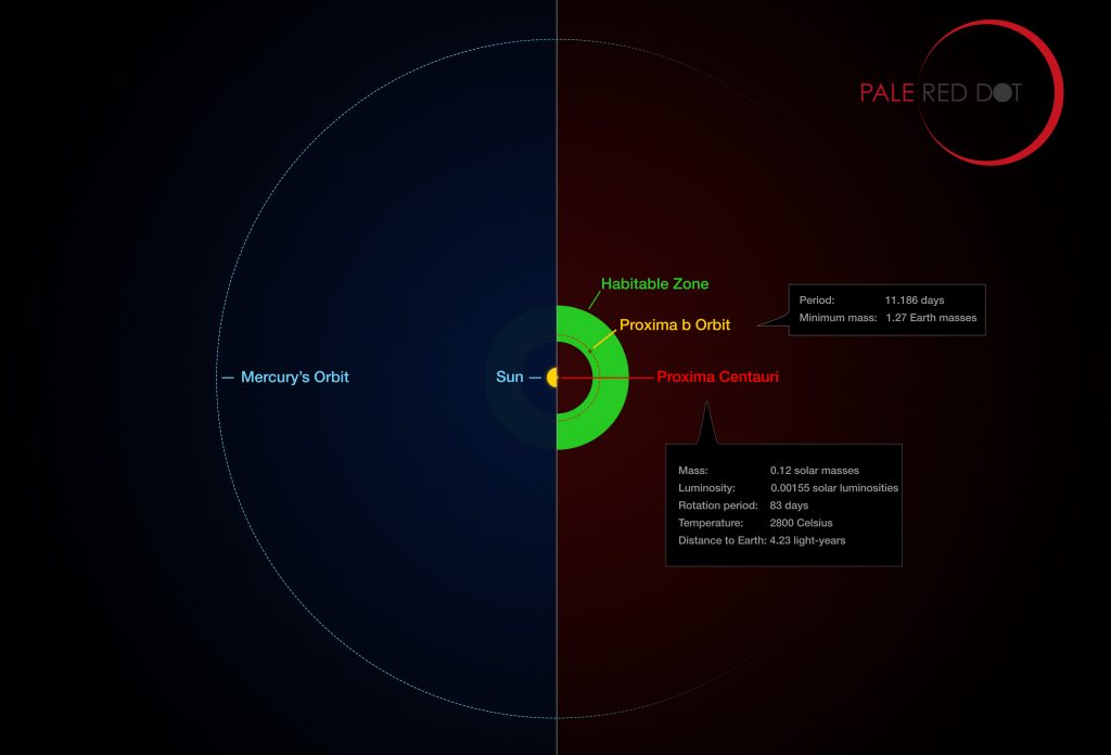 This infographic compares the orbit of the planet around Proxima Centauri (Proxima b) with the same region of the Solar System. Proxima Centauri is smaller and cooler than the Sun and the planet orbits much closer to its star than Mercury. As a result it lies well within the habitable zone, where liquid water can exist on the planet’s surface. Photo by ESO/M. Kornmesser/G. Coleman