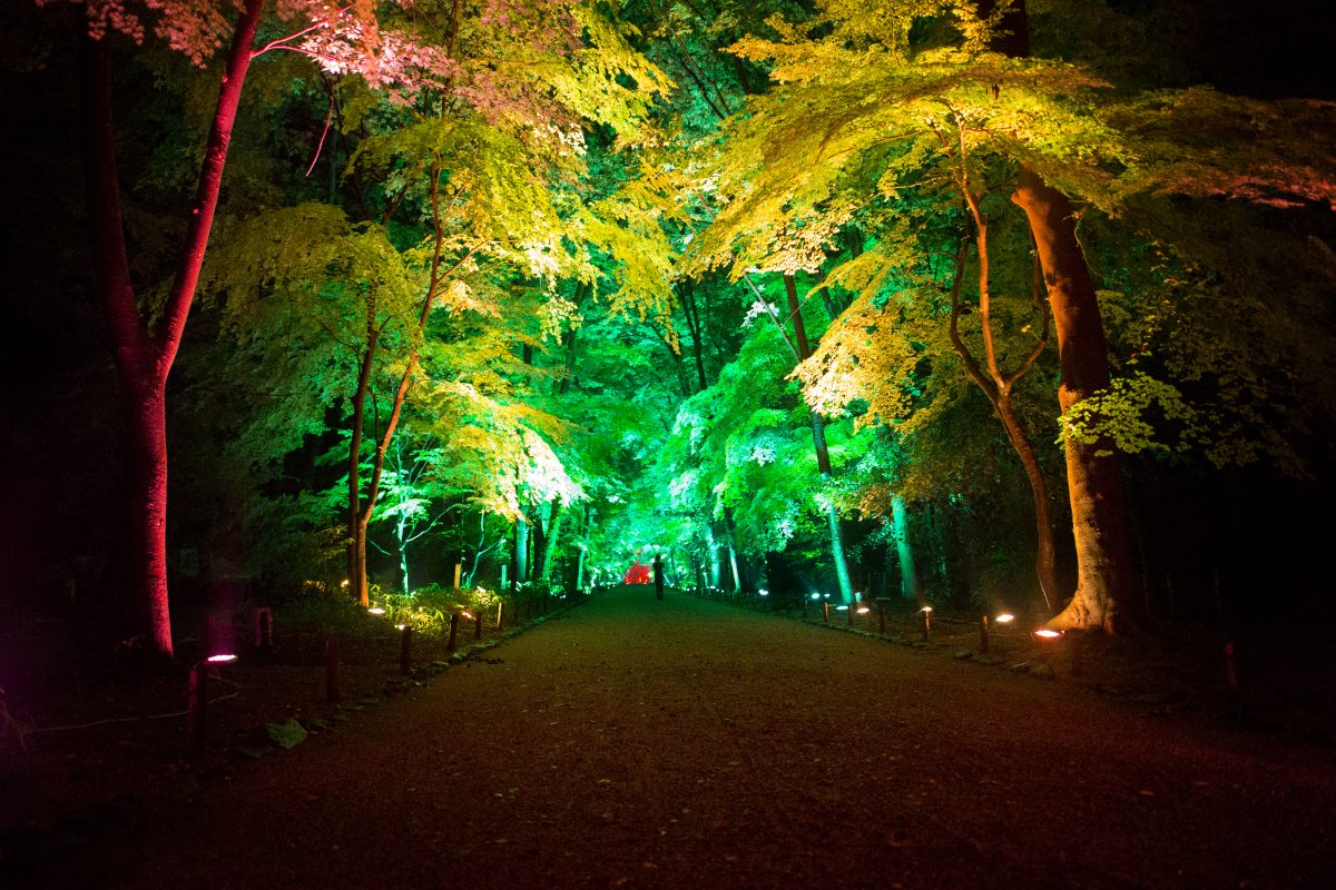 Photo courtesy of TeamLab