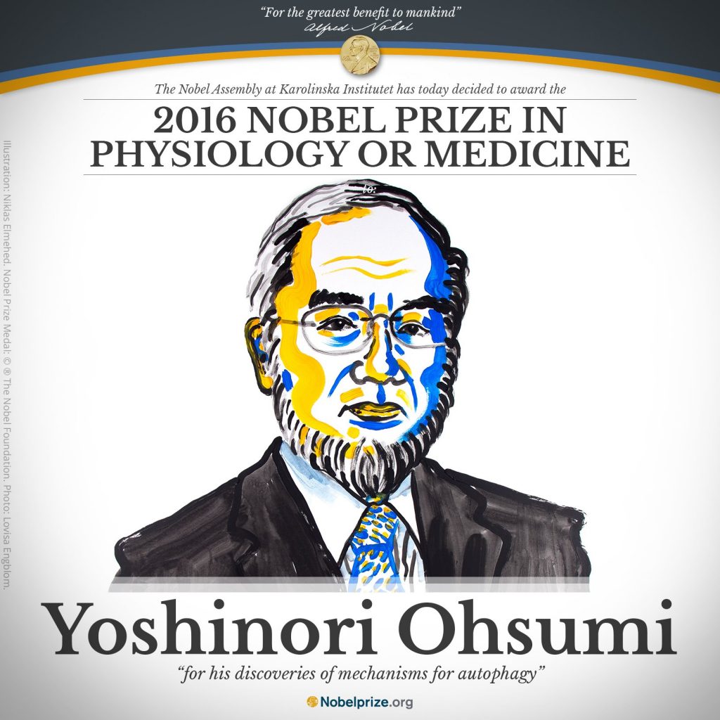Yoshinori Ohsumi. Illustration by N. Elmehed. © Nobel Media 2016