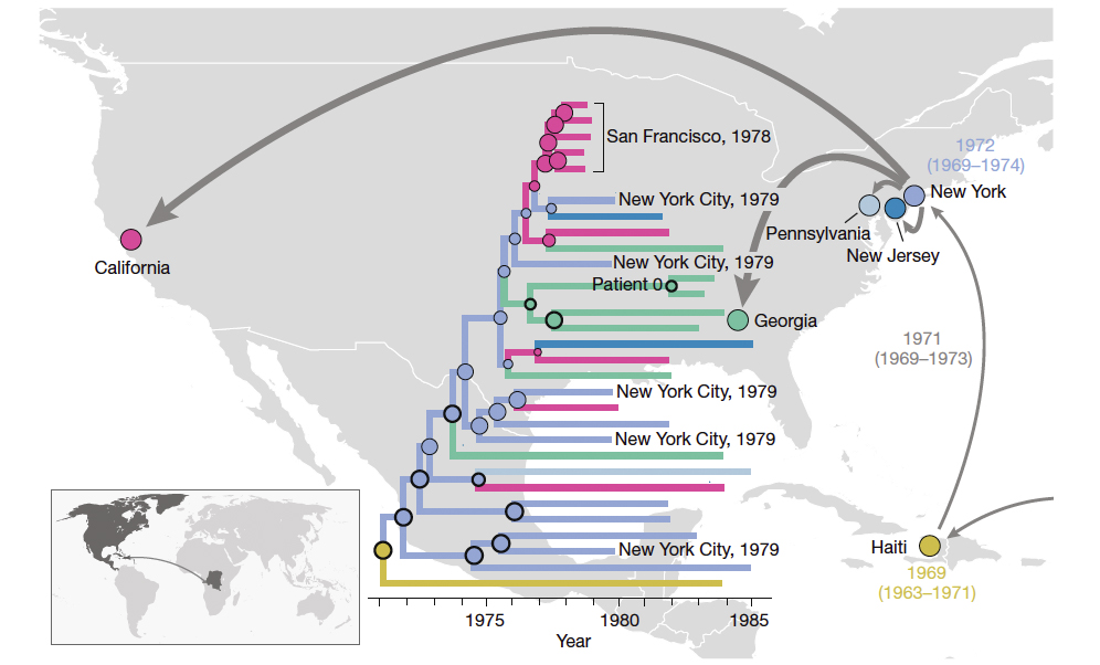 The early patterns of HIV-1 spread in the Americas. The map summarizes the main patterns of spread inferred from the comparison of HIV genomes collected in different location. The map inset shows the initial introduction of HIV-1 subtype B lineage into the Caribbean from Africa. From there, the virus spreads first to NY and subsequently to different locations in the United States. Photo by Worobey et al., Nature, 2016