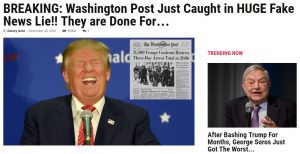 Screenshot of an article published on LibertyWritersNews.com that has since been taken down.