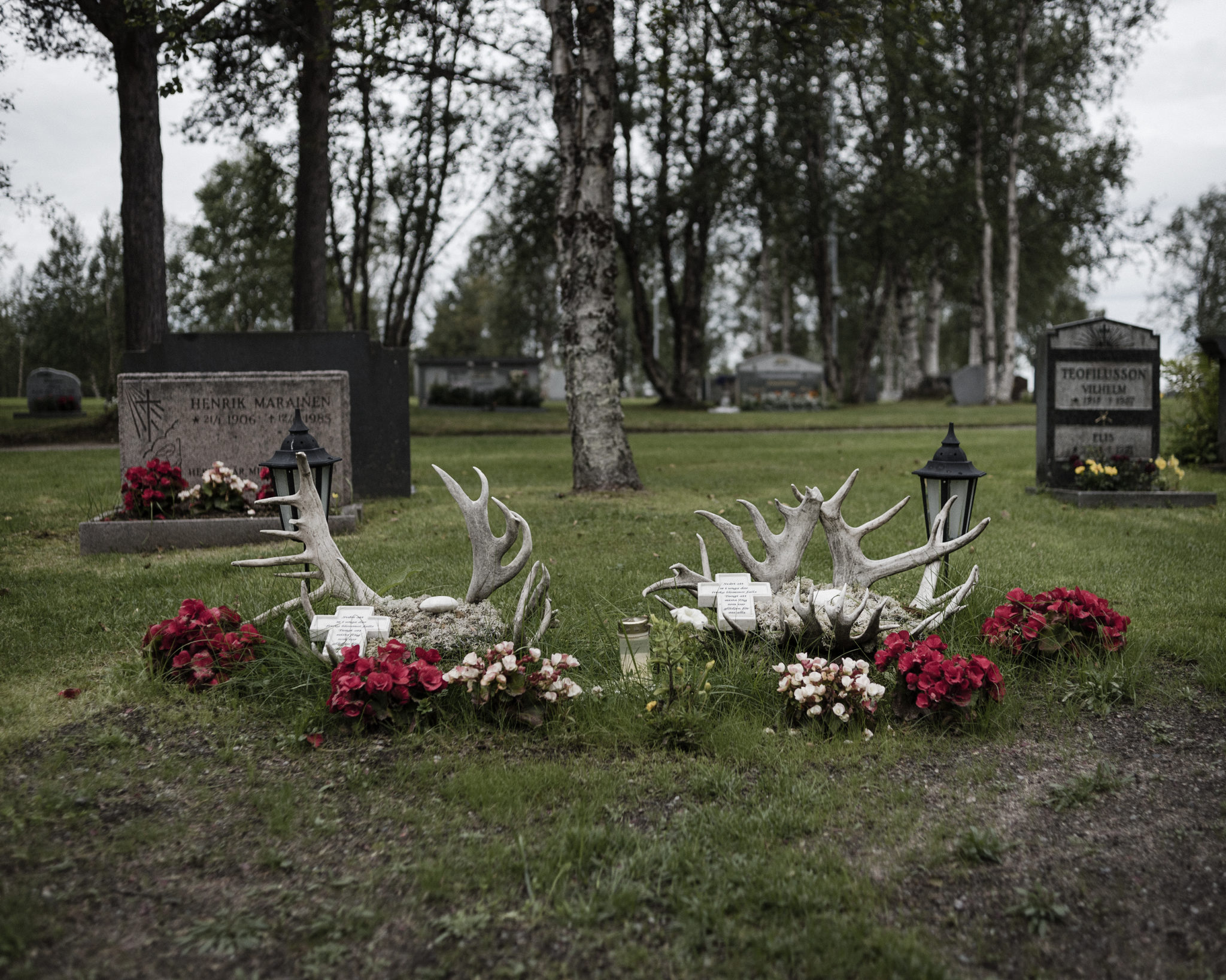 The graves of Gustu and Heaika Marainen are decorated with flowers and antlers. On the grave, there are words in Swedish: "It's hard to see in young days fresh flowers fall - it's hard to lose you, you were the joy for us all." Photo by Camilla Andersen