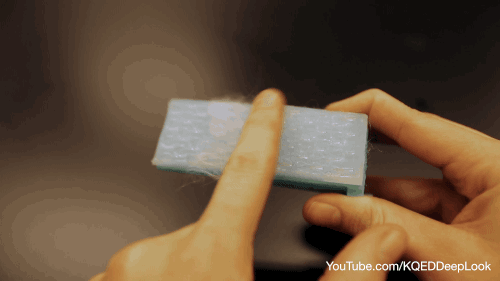 The model is covered in spines that all point in the same direction, making it easier to remove the trapped fur. Photo by Alexis Noel/Georgia Institute of Technology