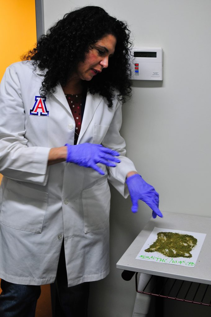 Dr. Sue Sisley points to marijuana samples she received as part of a study that's testing whether marijuana can have a positive effect on veterans with PTSD. Photo courtesy of MAPS.