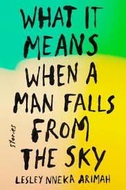 “What It Means When A Man Falls From The Sky." Credit: Riverhead Books