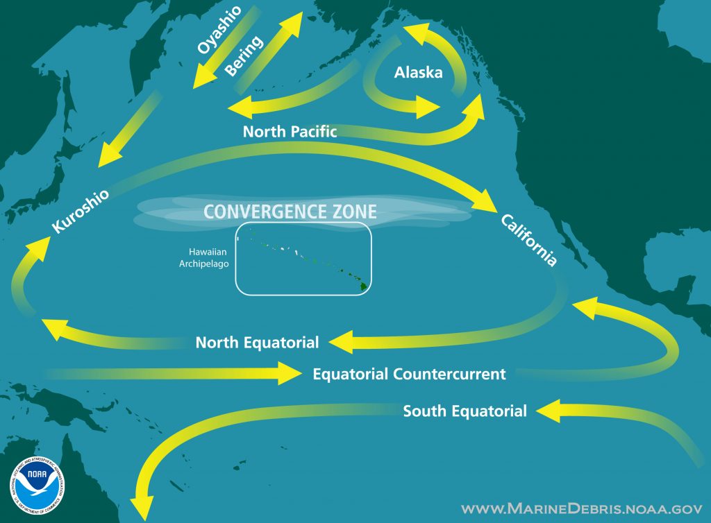 Map of North Pacific Ocean currents. Radiation from the Fukushima disaster took more than two years to cross from Japan to the West Coast. Chart by NOAA