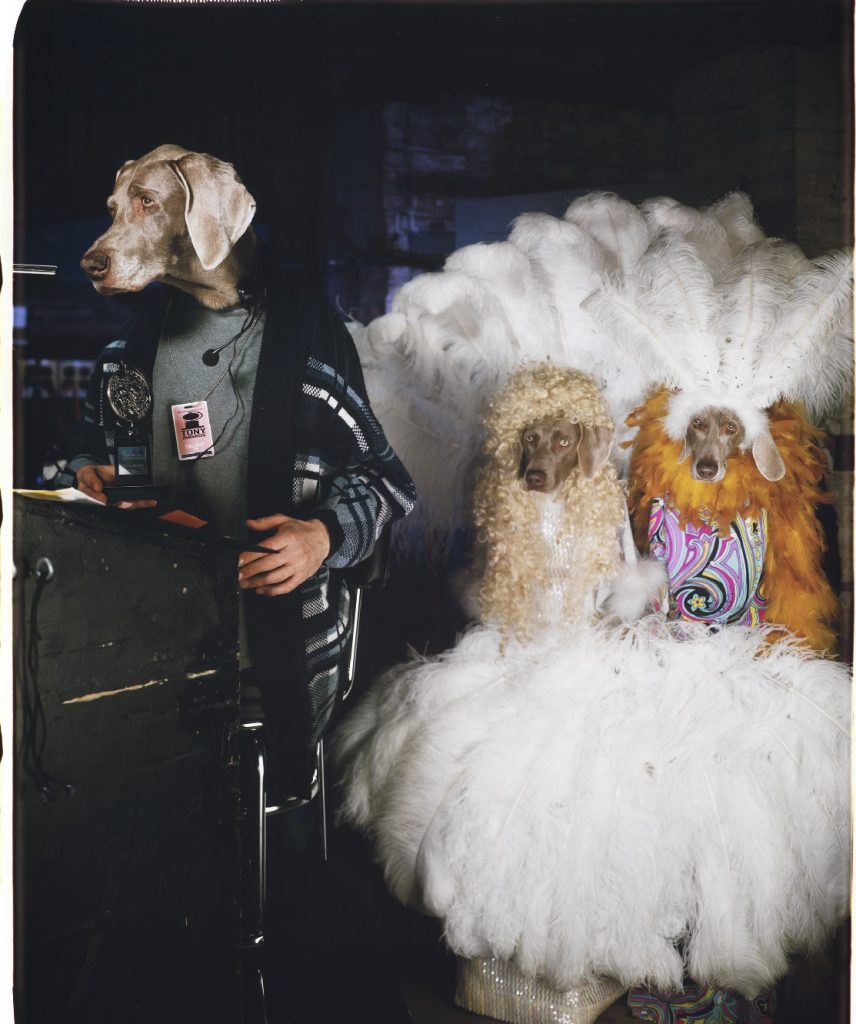 william wegman 