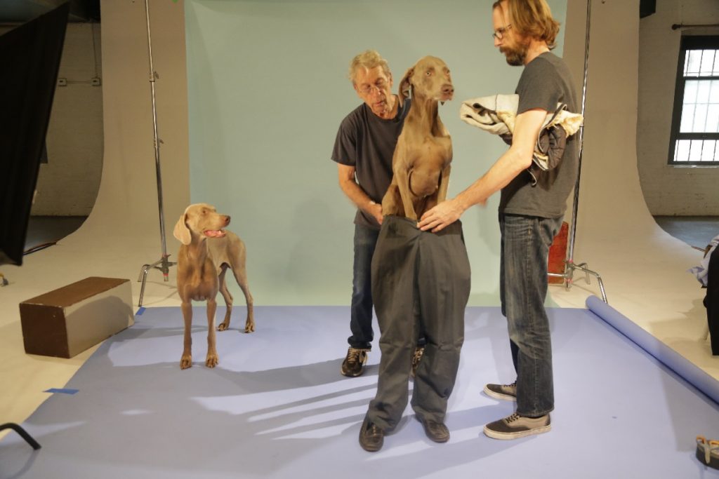 william wegman 