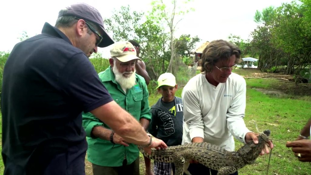 Miles O'Brien pets a wild Cuban crocodile captured in the Zapata swamp. Photo by MOB Productions