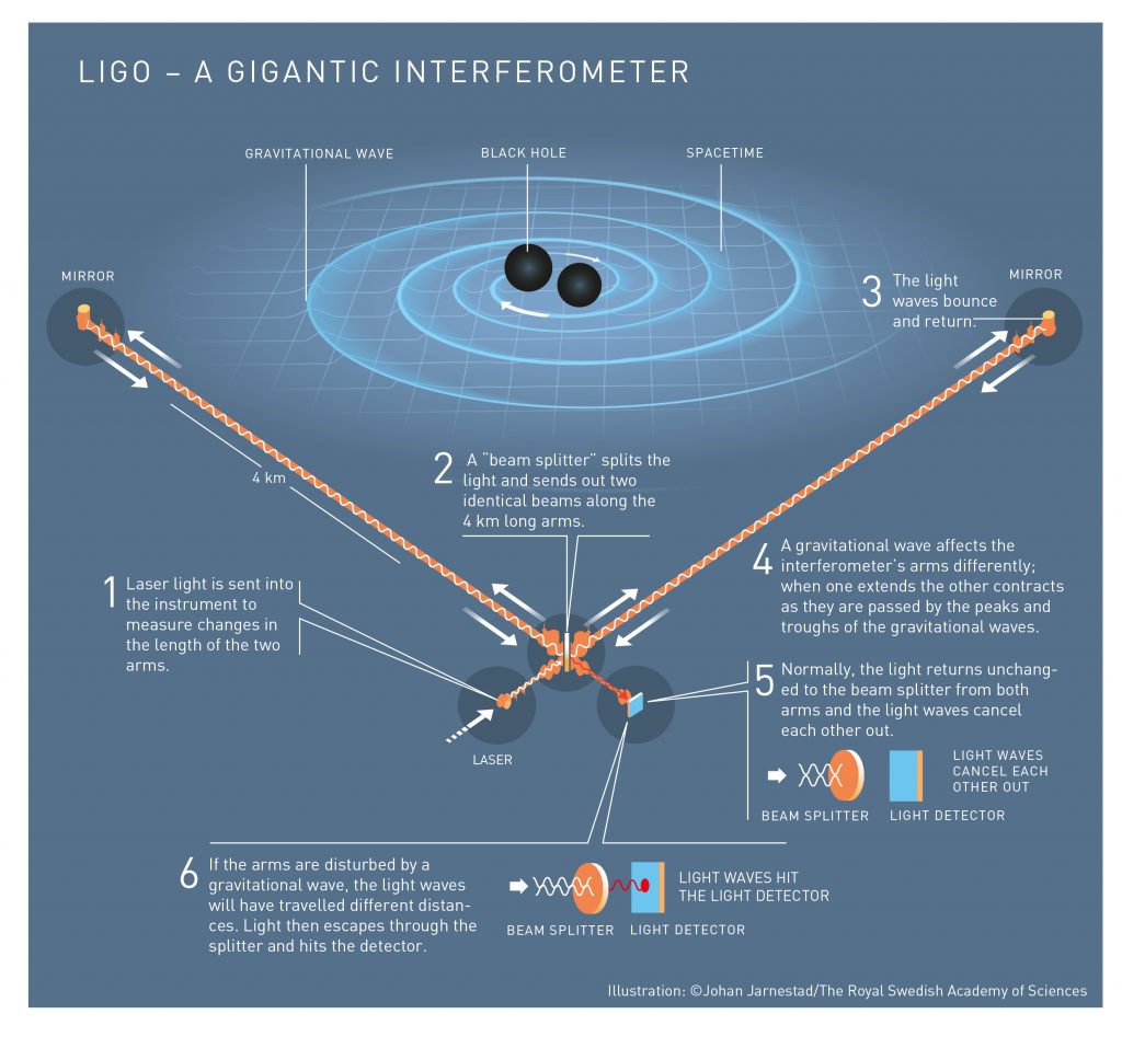 The world’s first captured gravitational waves were created in a violent collision between two black holes, 1.3 billion lightyears away. When these waves passed the Earth, 1.3 billion years later, they had weakened considerably: the disturbance in spacetime that LIGO measured was thousands of times smaller than an atomic nucleus. Caption and illustration by Johan Jarnestad/The Royal Swedish Academy of Sciences