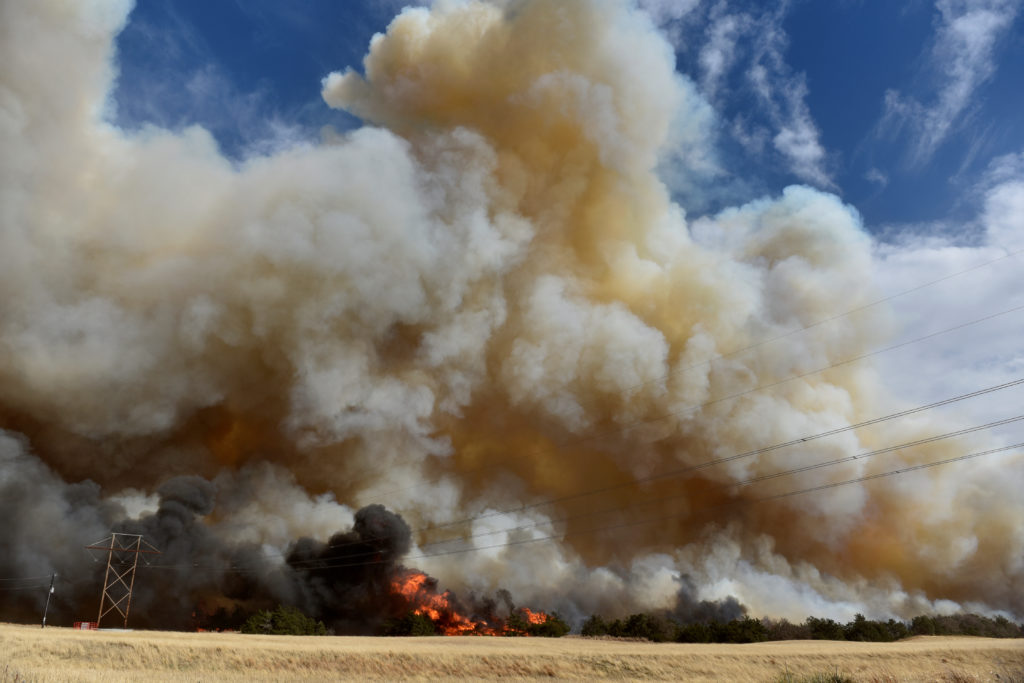 The Rhea fire burns through a grove of red cedar trees near Seiling, Oklahoma, U.S. April 17, 2018. REUTERS/Nick Oxford.