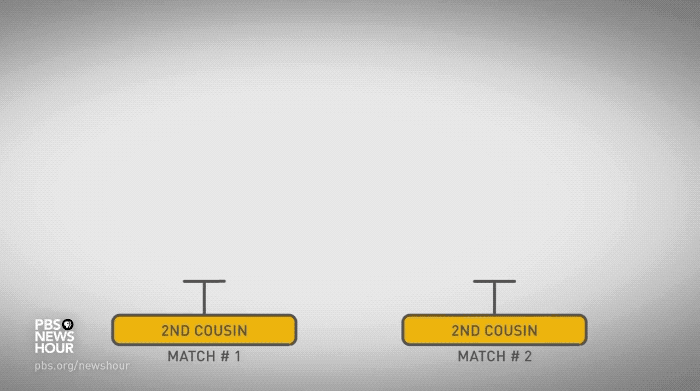 Assuming that an average family has 2 to 3 kids, then a typical person would — statistically speaking — have nearly 200 third cousins, 950 fourth cousins and 4,700 fifth cousins. Image by PBS NewsHour