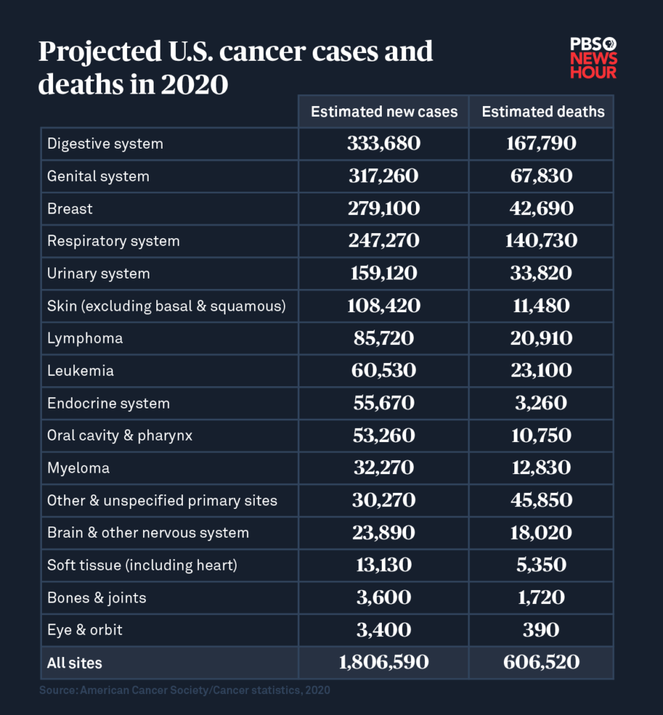 Chart by Megan McGrew/PBS NewsHour