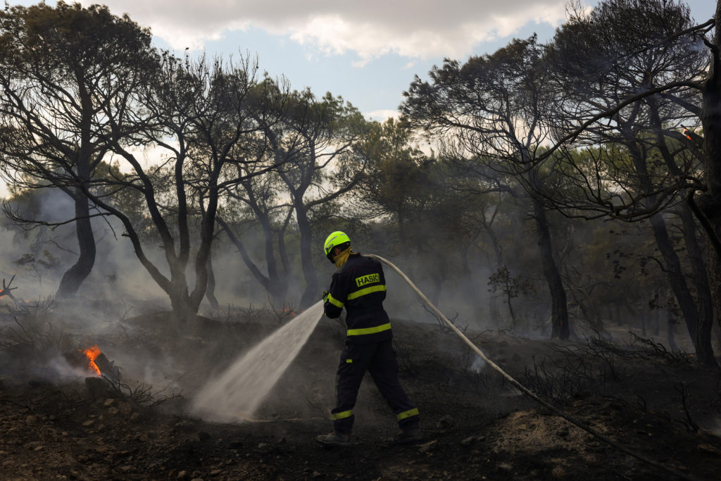 Wildfire in the region of Evros