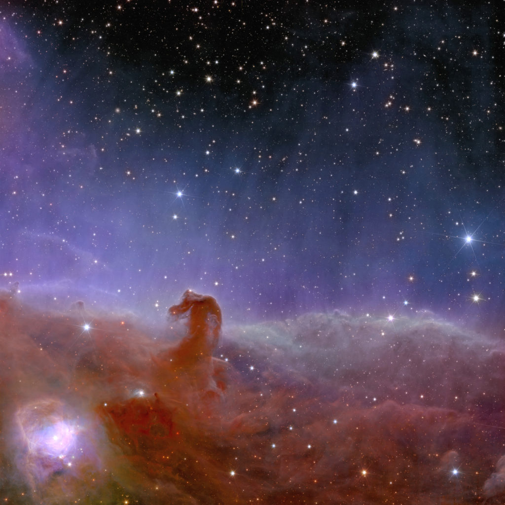 Stellar nursery called "Horsehead Nebula", also known as Barnard 33, and part of constellation Orion, captured by Euclid telescope, designed and built by European Space Agency (ESA) to explore dark matter and dark energy which are thought to make up 95 percent of the universe, are seen in this undated handout image. Photo provided by European Space Agency/Handout via REUTERS