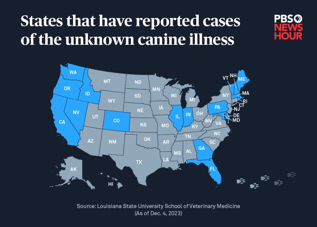 dog illness map