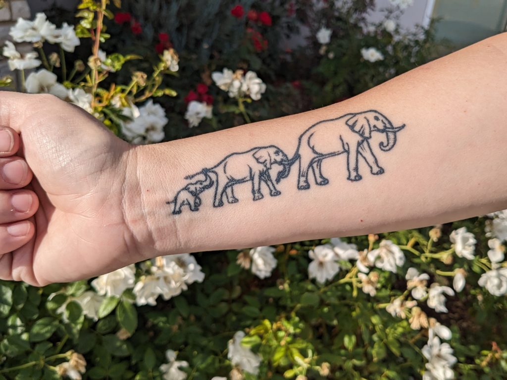 LizLawrence_elephants