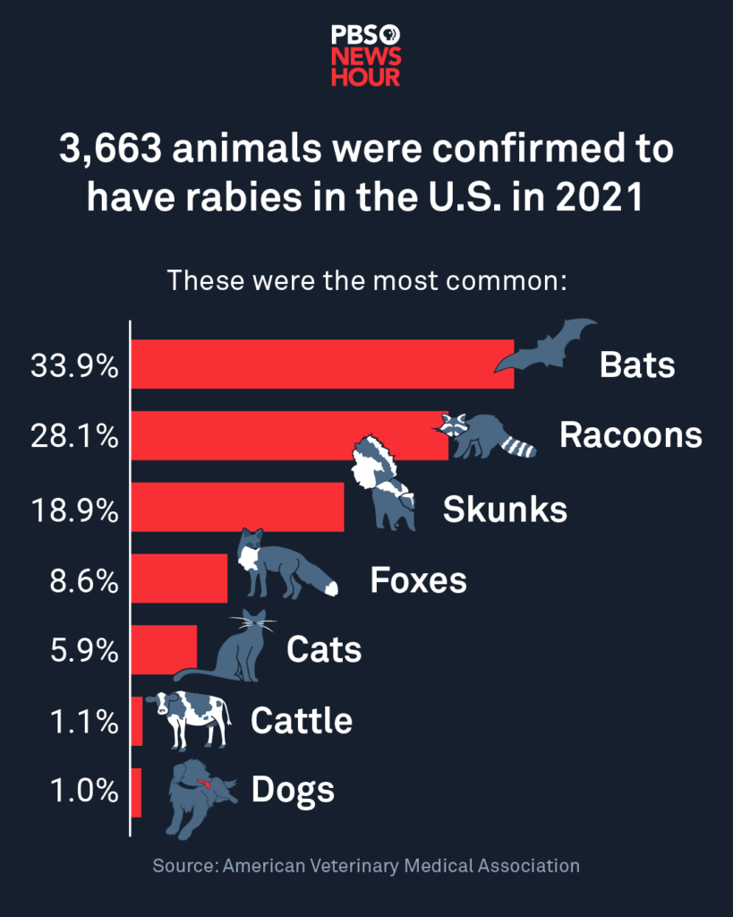 rabies vaccine_slide 1-2