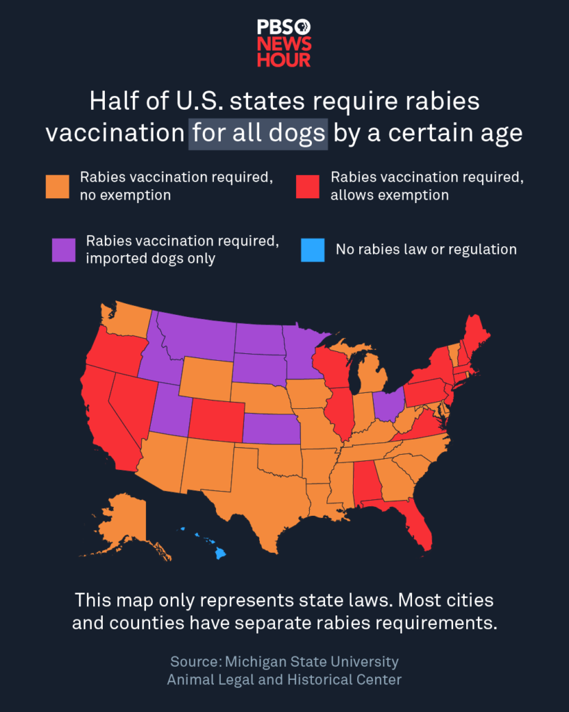 rabies vaccine_slide 2