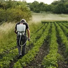 Agriculture and Farming Industry