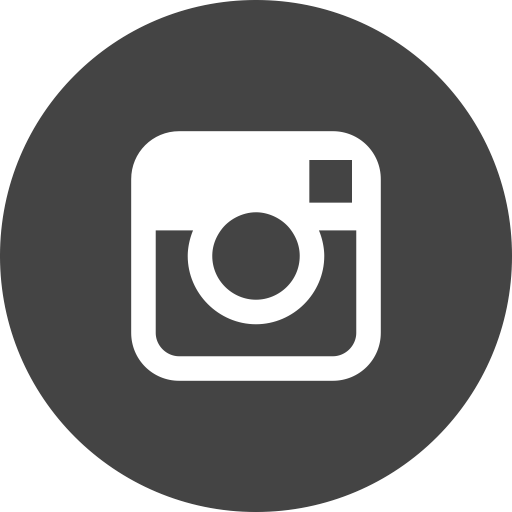 iconfinder_instagram_circle_294711.png