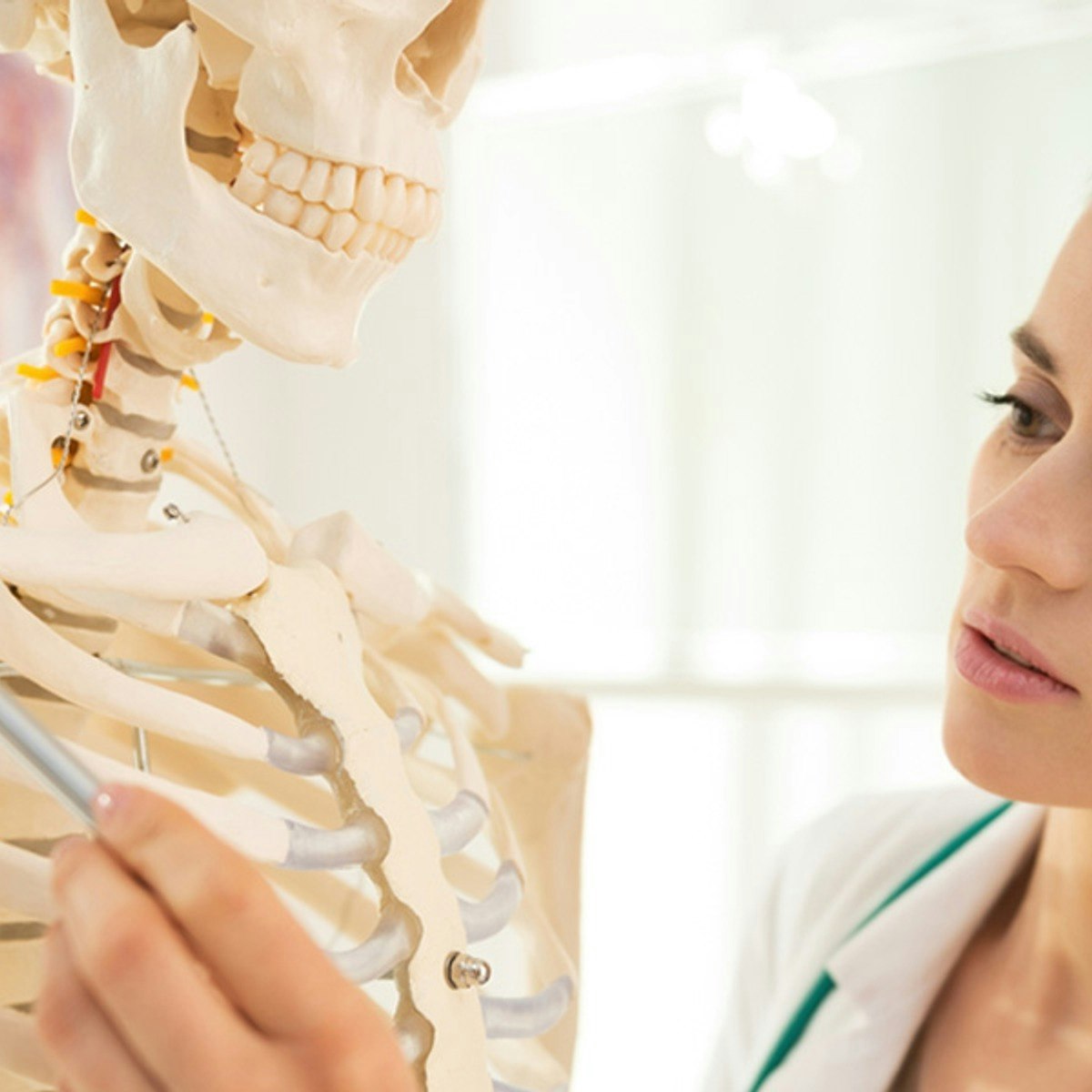Medical Terminology and the Human Body Fundamentals