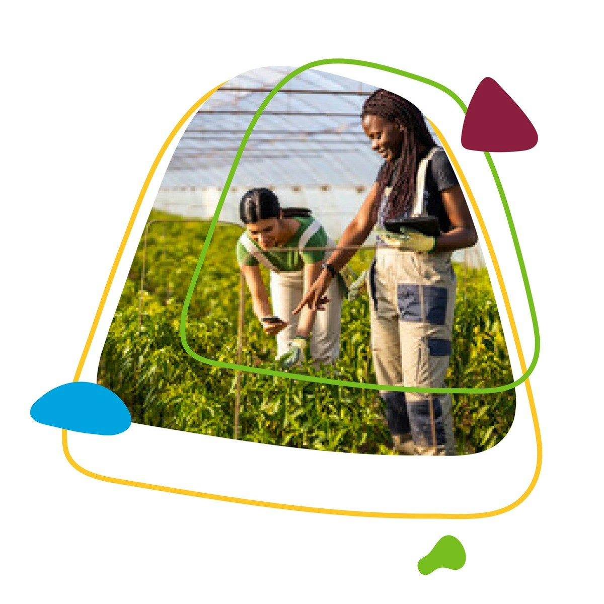 Foundational Sustainability Skills & Competencies