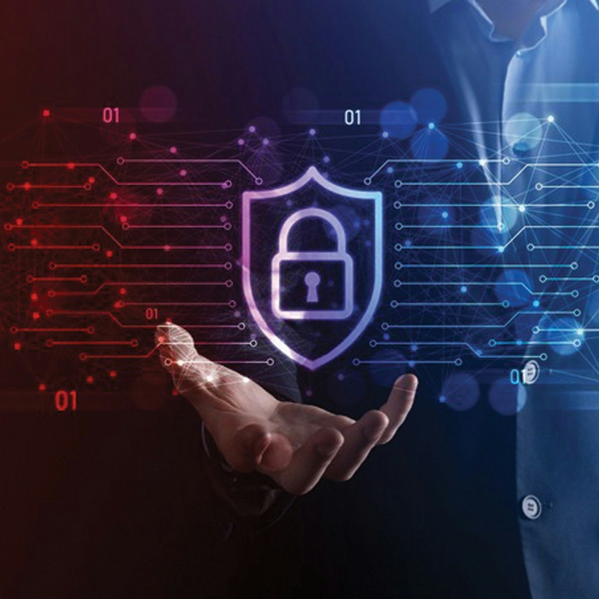 Data Security & Information Privacy
