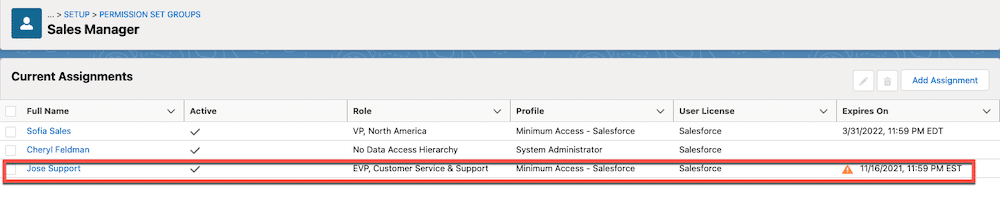 Permission Set Groups current assignment page showing Jose Support user’s assignment.