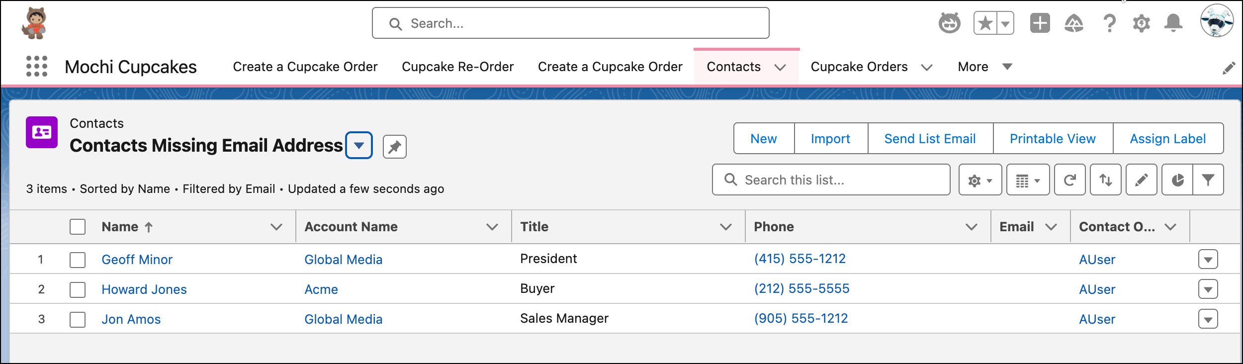 List view containing contacts with missing email addresses.