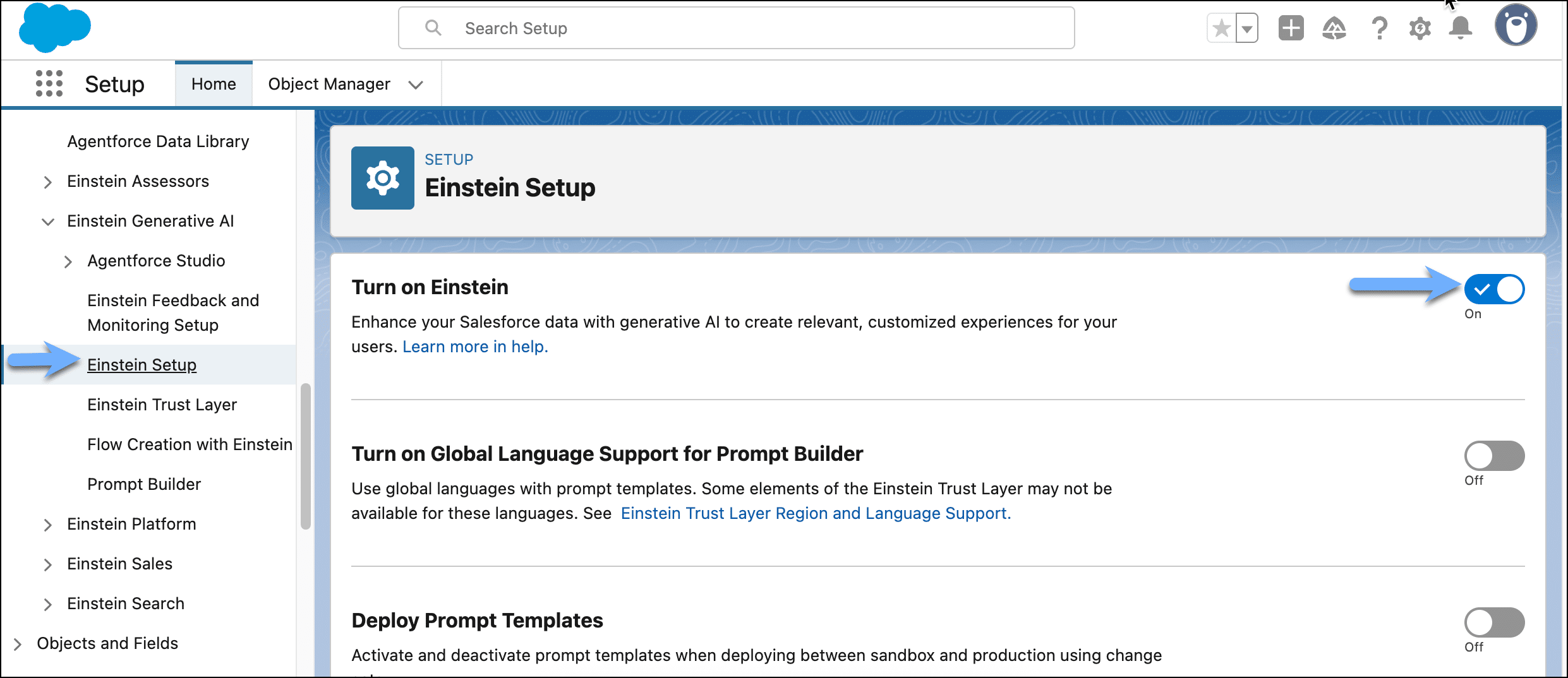 Einstein Setup page with the ‘Turn on Einstein’ toggle enabled.