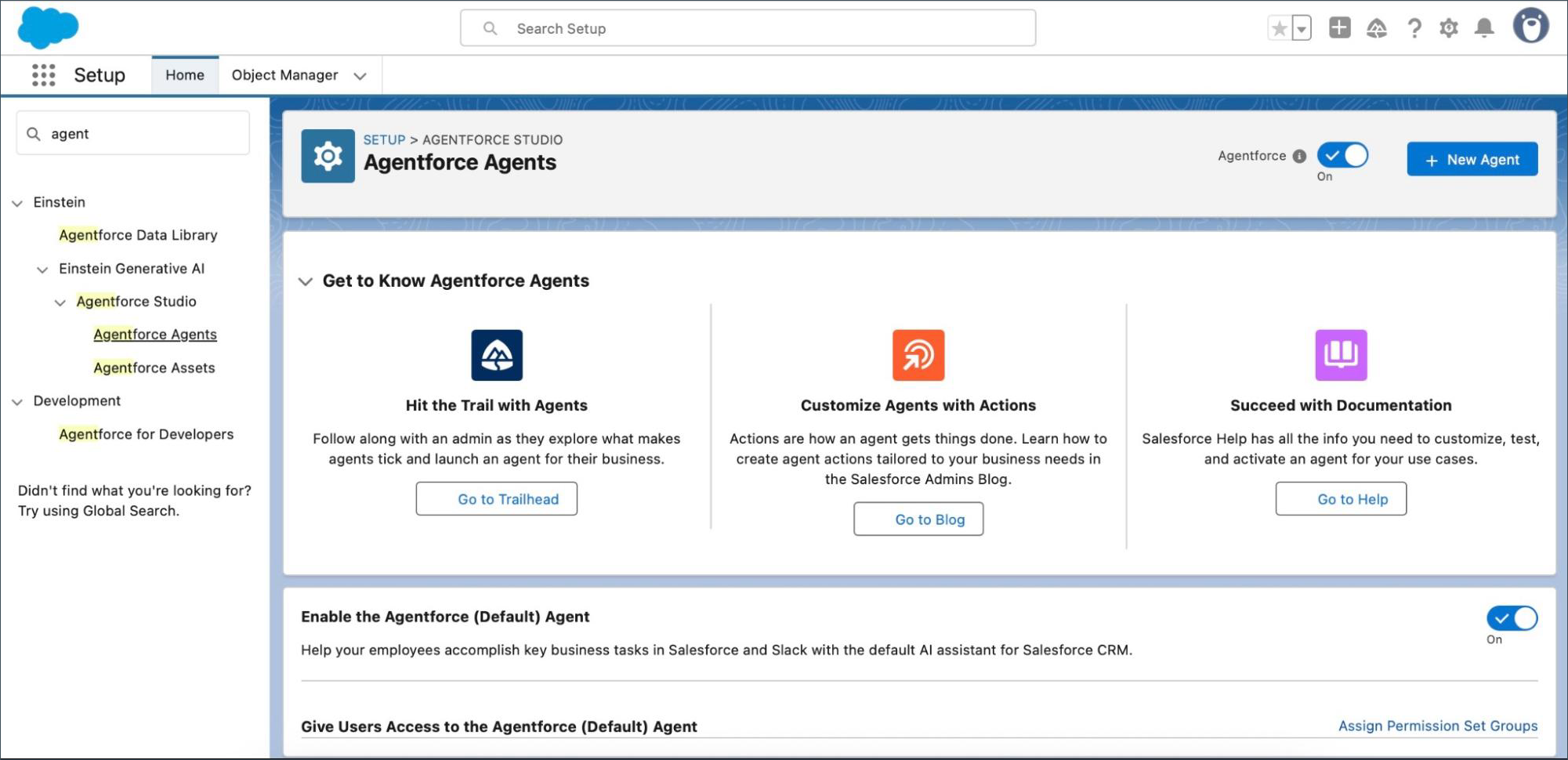 Agentforce Agents Setup page.