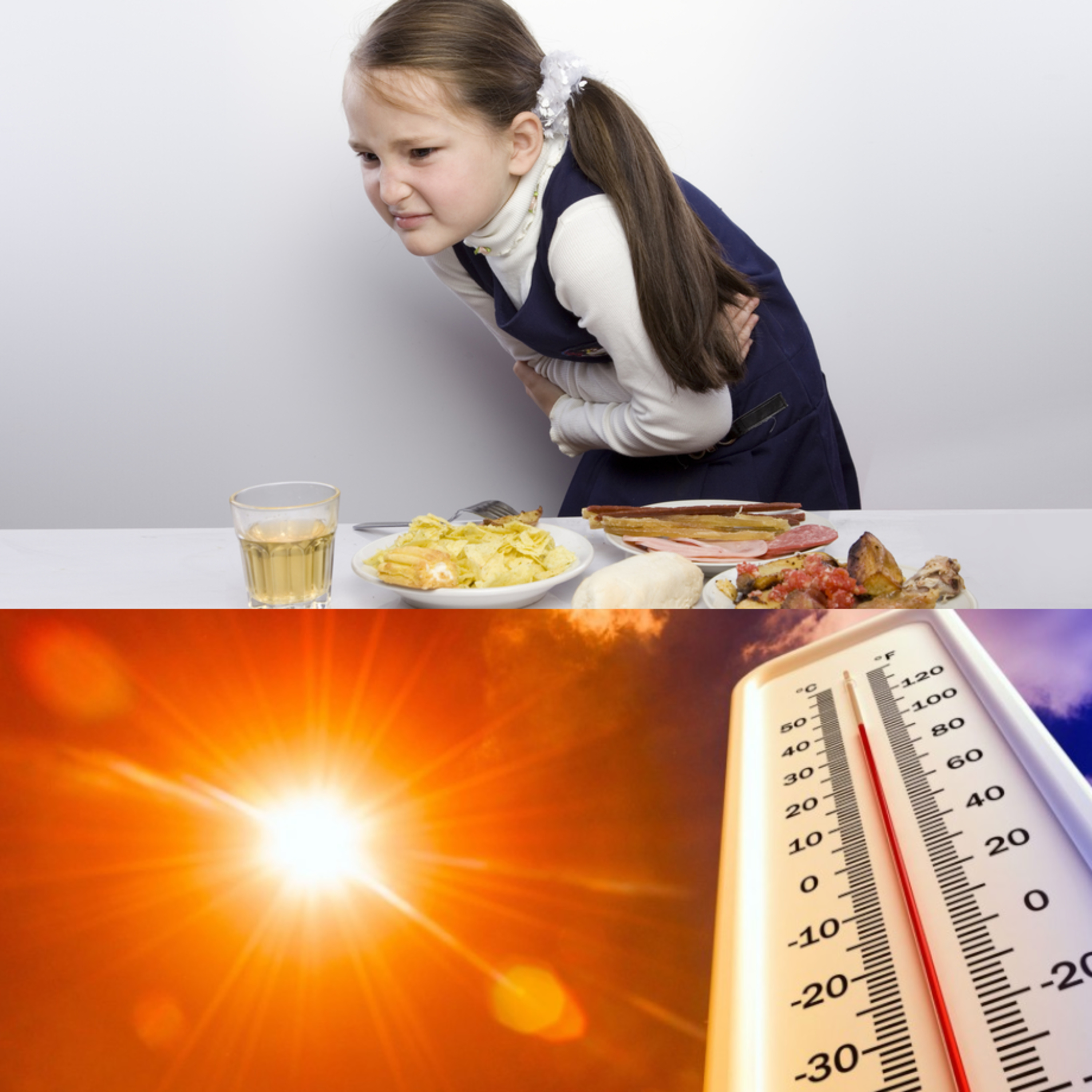 كيف نحافظ على المنتجات الغذائية في فصل الصيف