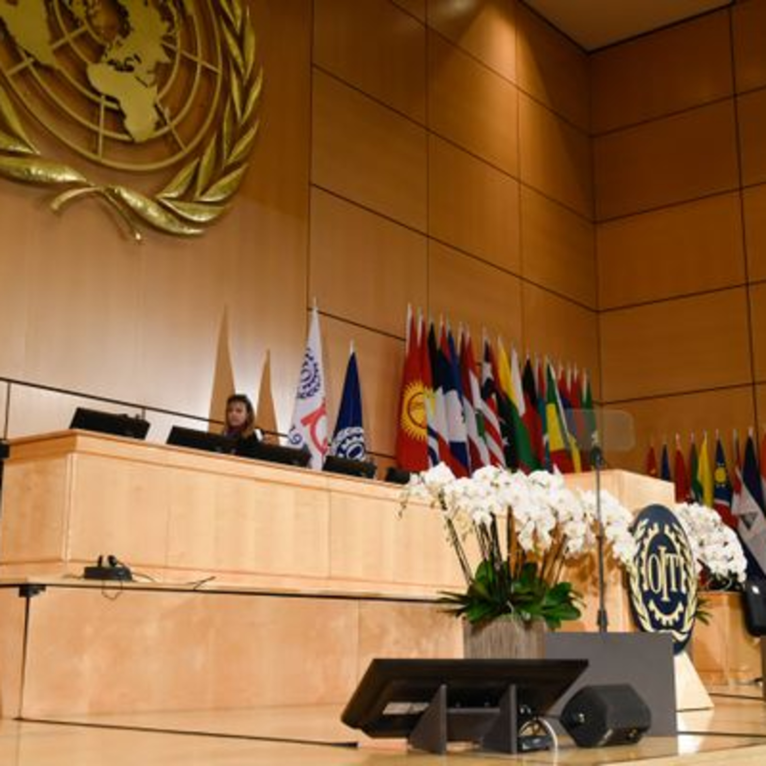 Área trabalhista: como os debates da conferência da OIT podem impactar o Brasil