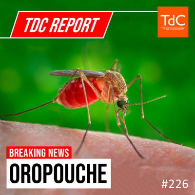 TdC 226: Report - Febre de Oropouche e outras arboviroses