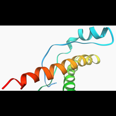 Killer Proteins: The Science Of Prions