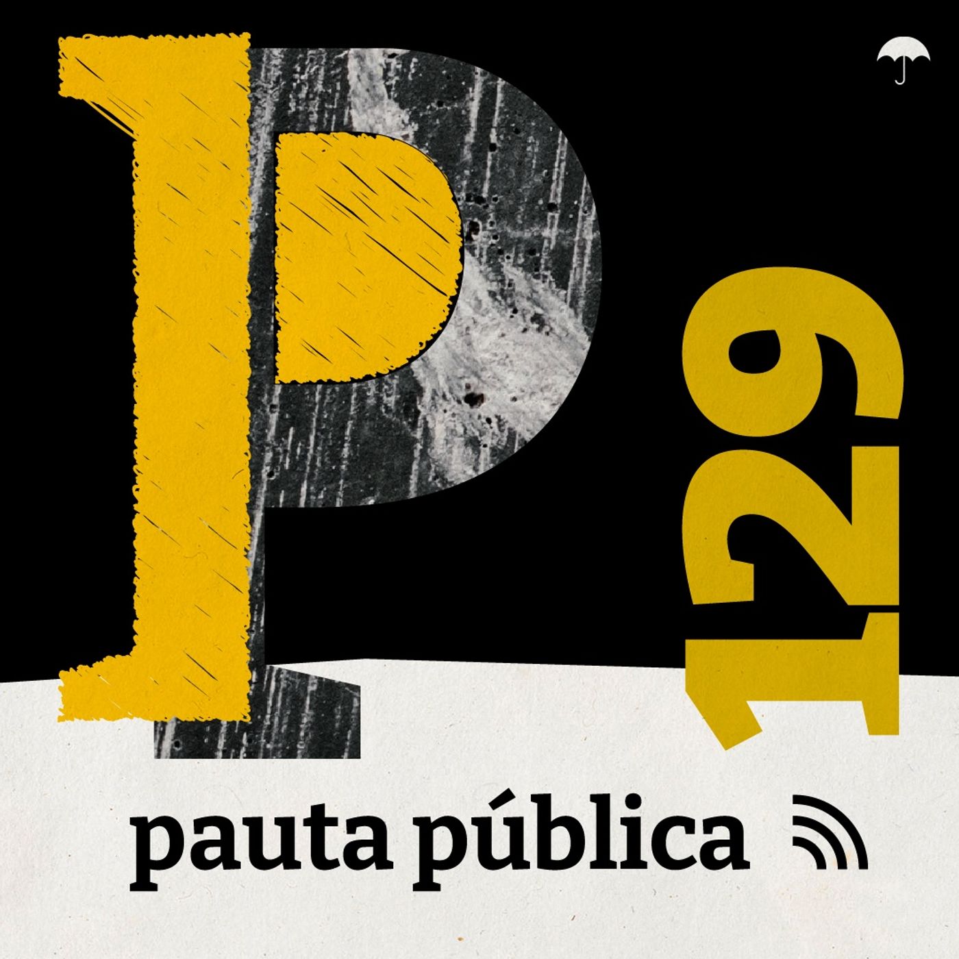 Por que o Pantanal queima tanto e tão rápido em 2024? - com Cláudia Gaigher