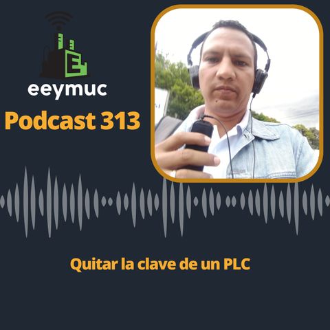 313: Retirar la clave de un PLC