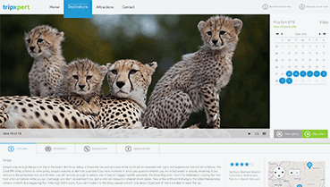 Telerik UI for ASP.NET AJAX Image
