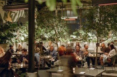 A group of people are seated at their tables in a lush greenery setting, indoor dining area at Damian restaurant.