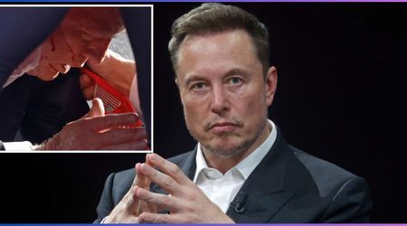 Here's What Elon Musk is Strangely Inspired to Do After Donald Trump Shooting