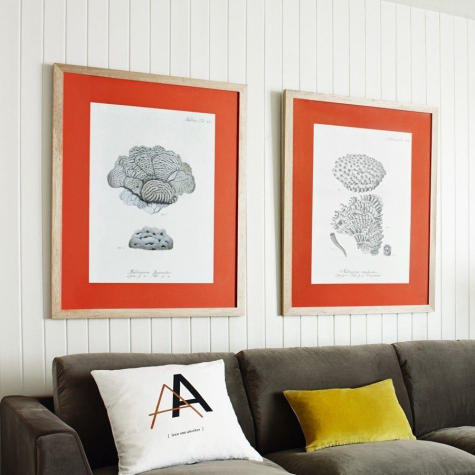 Featured Photo of Framed Coral Art Prints