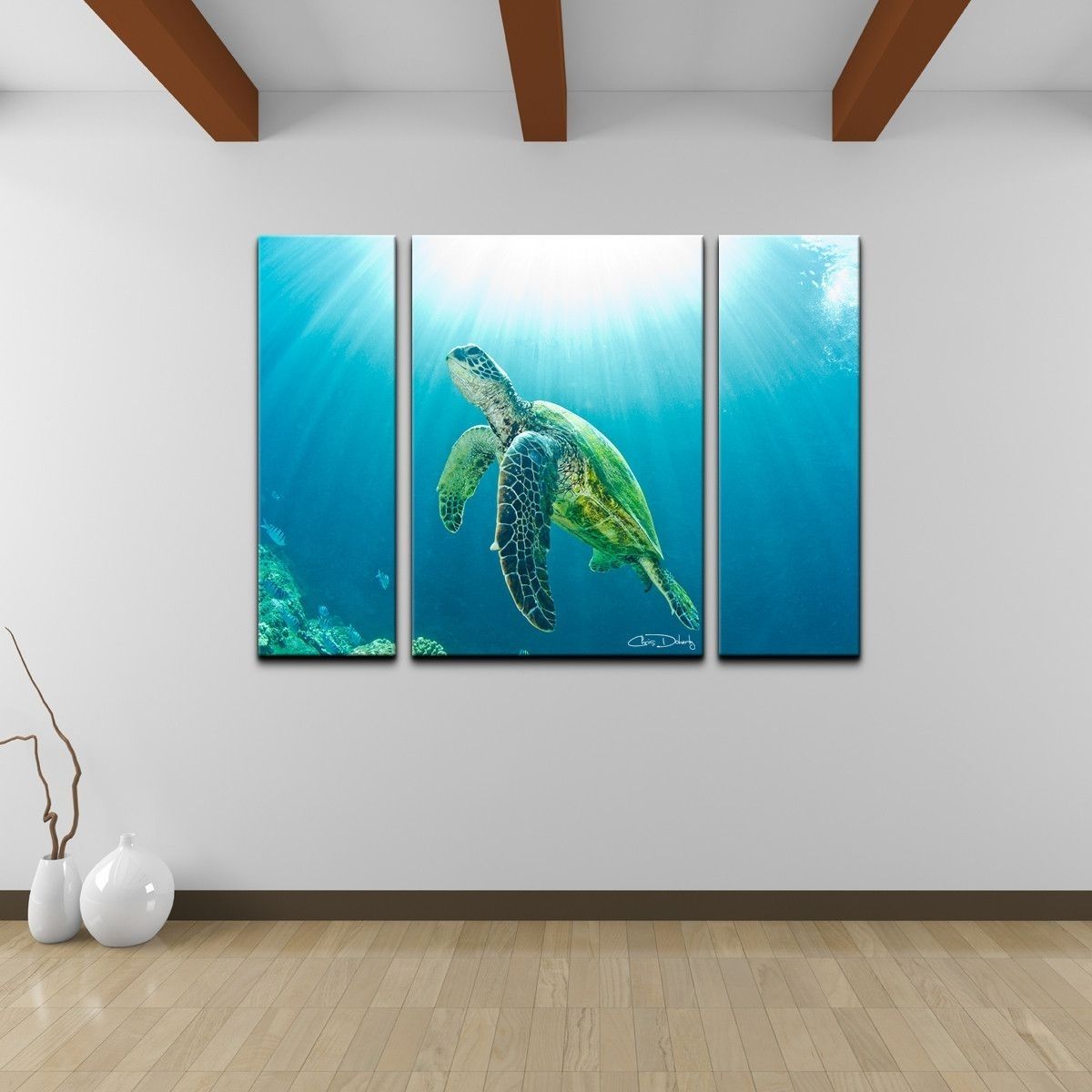 Christopher Doherty 'sea Turtle' Canvas Wall Art (3 Piece) | Turtle Within 2018 Sea Turtle Canvas Wall Art (Gallery 20 of 20)