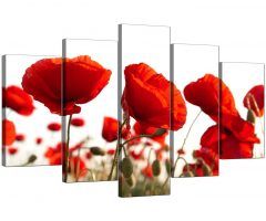 Poppies Canvas Wall Art