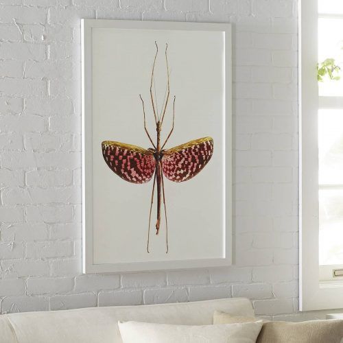 Insect Wall Art (Photo 1 of 30)