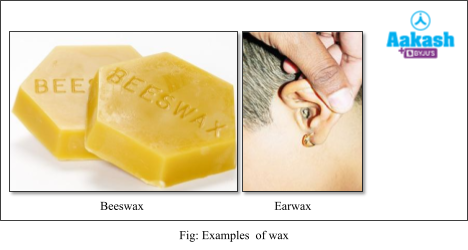 Lipids Definition Units Classification Biology Aakash Byjus Aesl