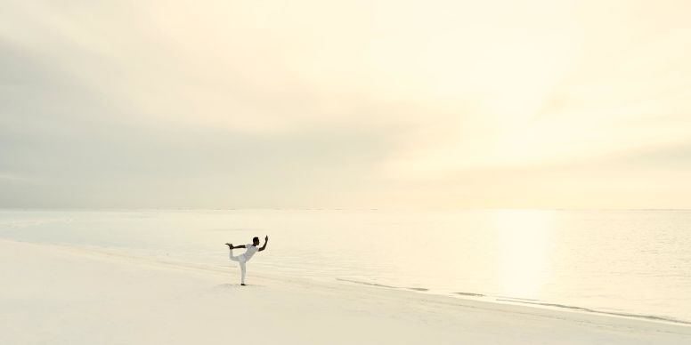 A Bird Walking On A Beach