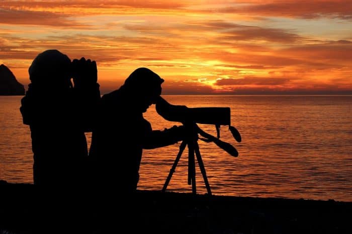top Bushnell spotting scopes for hunting