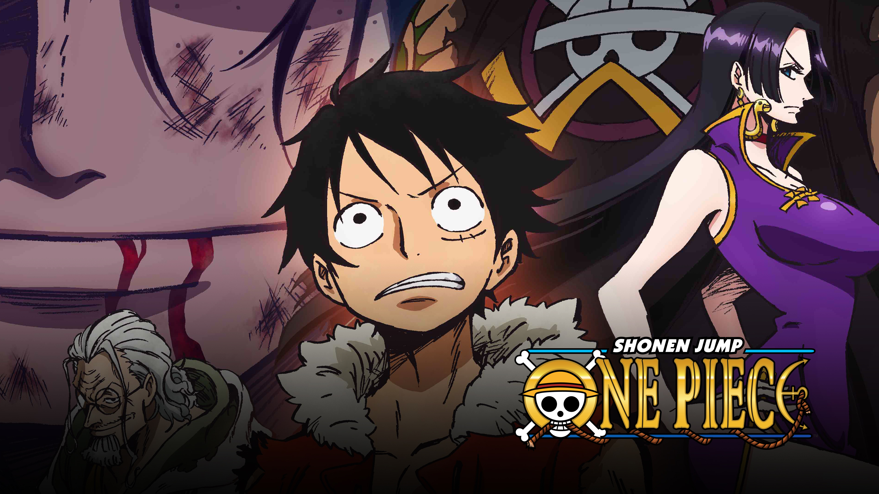 One Piece 876 Streaming